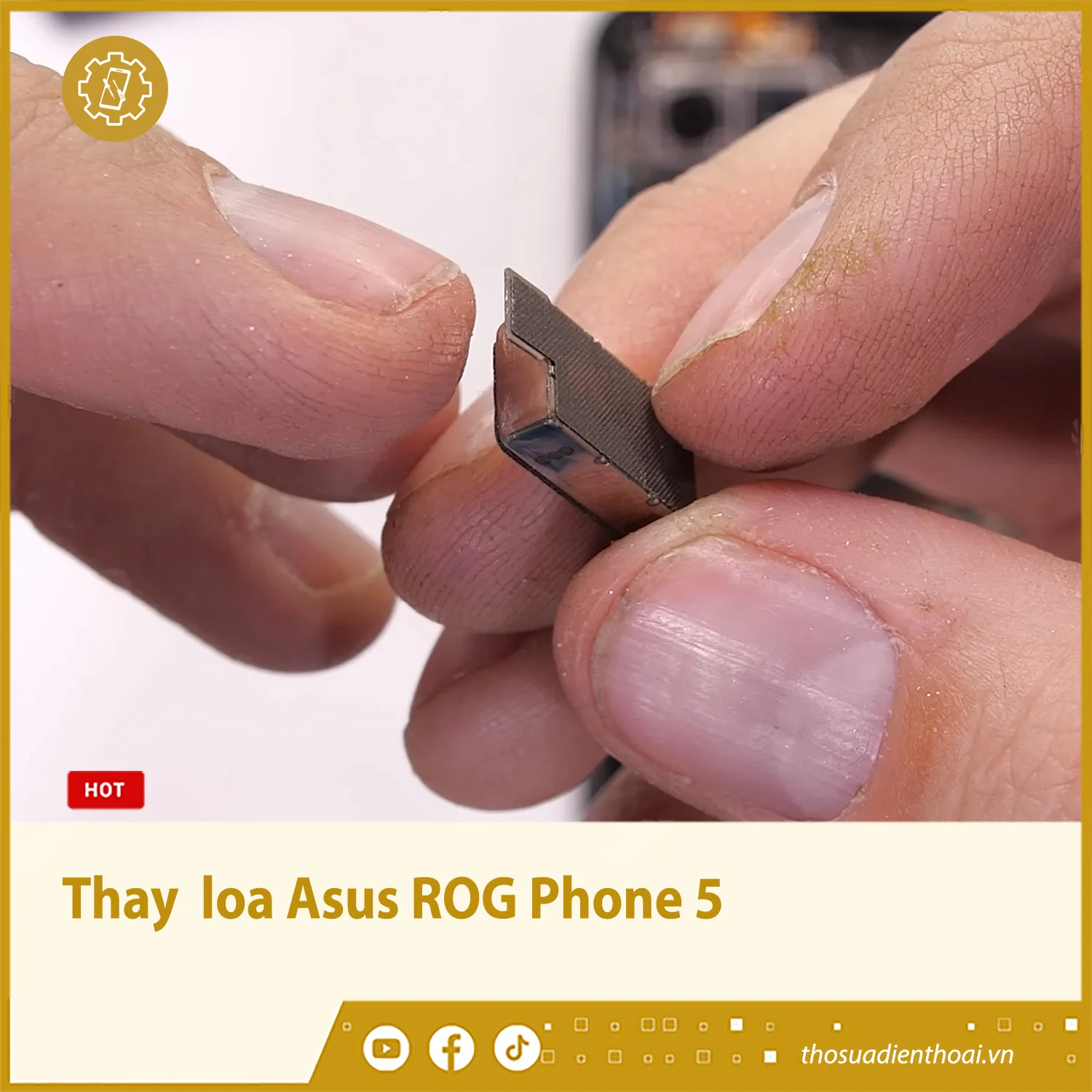 sua-dien-thoai-asus-loa