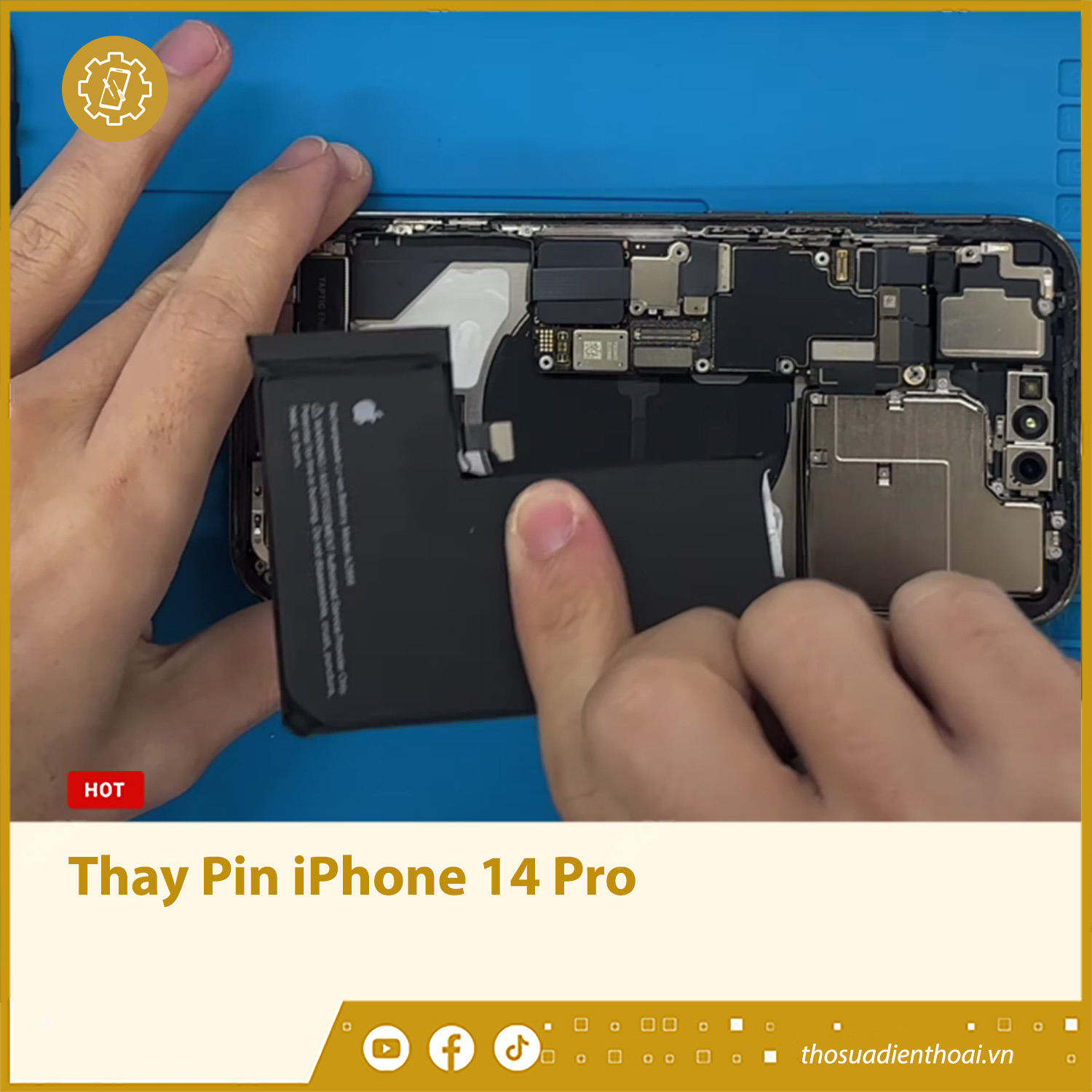 sua-iphone-14-thya-pin